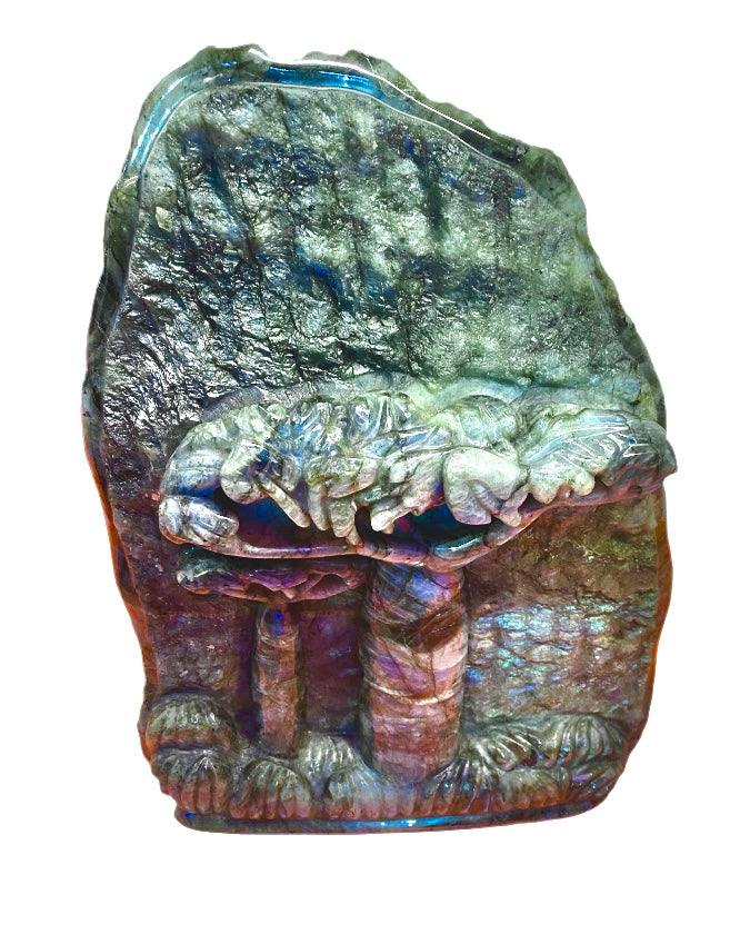 Labradorite avec sculpture de baobab
