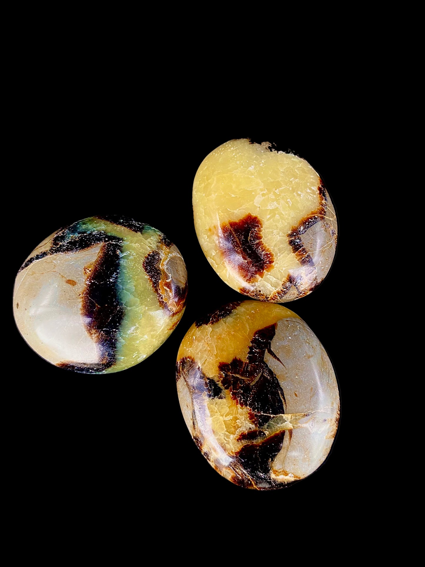 Galet de Septaria – Pierre de Terre & d’Ancrage – Énergie Calmante et Réparatrice